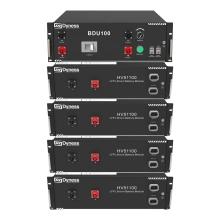 Блок батарей Dyness HV51100-4 20.48kW 204.8V 100Ah LiFePO4 BDU100 RACK Купить - фото 1